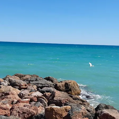 Paradise Moncofa Con Aire Acondicionado Y Wifi Gratis Daire *